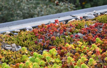 the cost of Glenroan green roof installation