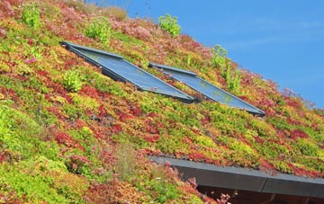 Glenroan living roof systems