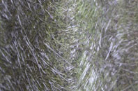 Glenroan fibreglass roof work